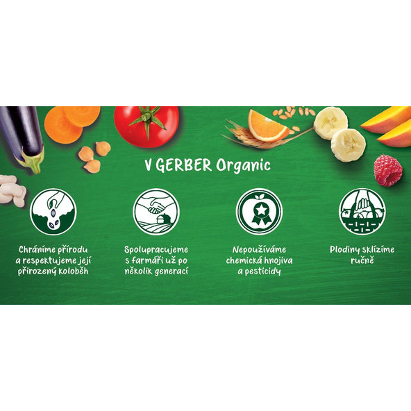 GERBER Kapsička organic ovocná mango a dula s kokosovým mliekom 80 g, 6+