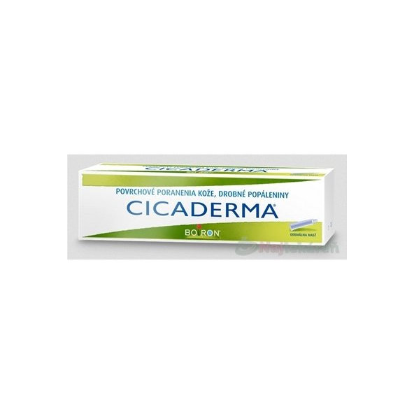 CICADERMA 30 g