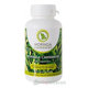 Moringa Caribbean STANDARD 60cps