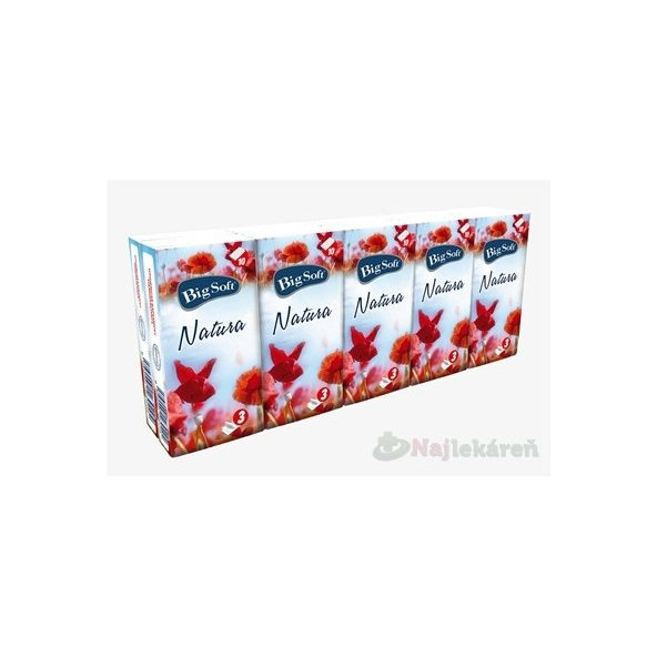 Big Soft Natura vreckovky hygienické 10x10 ks