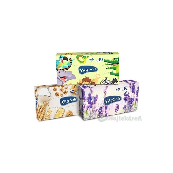Big Soft deluxe BOX vreckovky hygienické 100ks