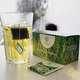 Moringa Caribbean Tea – porciovaný čaj 20x1,8g