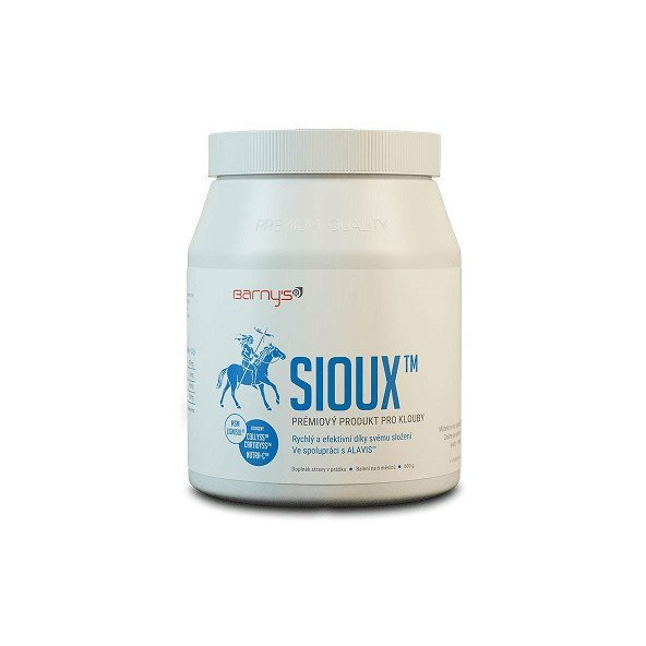 Barny's Sioux MSM Super Forte prášok 600g