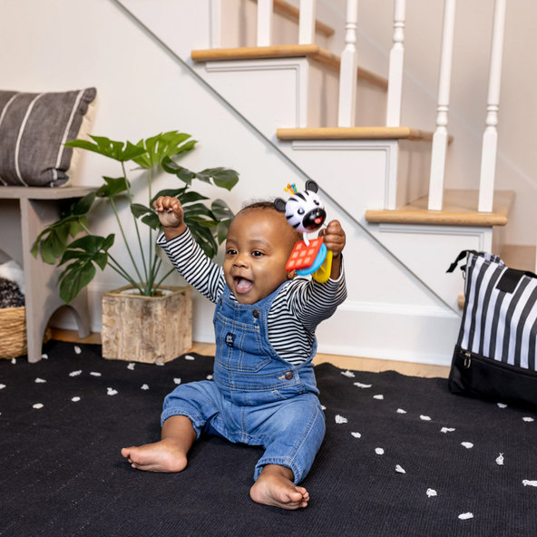 BABY EINSTEIN Hryzačka s hrkálkou zebra Zen™ Shake-a-Shape bez BPA 0m+