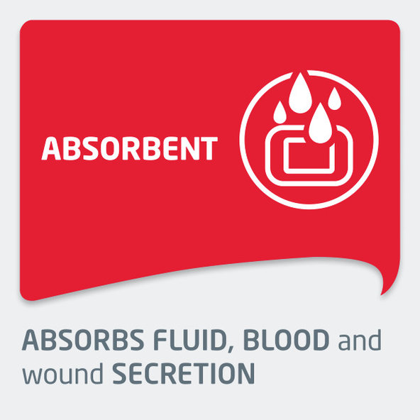 LEUKOPLAST STRONG pás 6cmx1m, 1ks