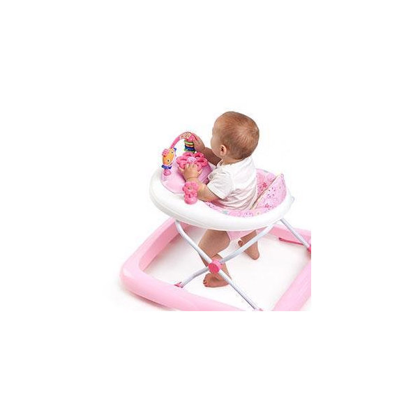 BRIGHT STARTS Chodítko JuneBerry Delight, 6m+