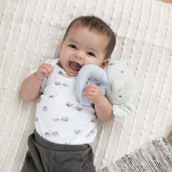 INGENUITY Plyšová hrkálka okrúhla Van™ sloník 0 m+