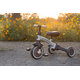 QPLAY Trojkolka Stager 3v1 platinum do 25 kg