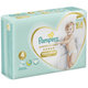 PAMPERS Nohavičky plienkové Premium Care Pants 4 MAXI 9-14kg 38ks