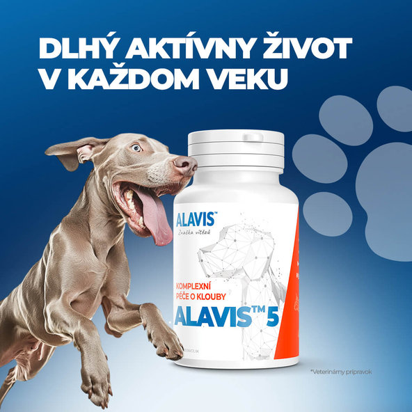 ALAVIS 5 kĺbová výživa pre psov a mačky 90tbl