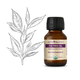 Tea Tree (čajovníkový) olej 100% Bio Alteya 50 ml