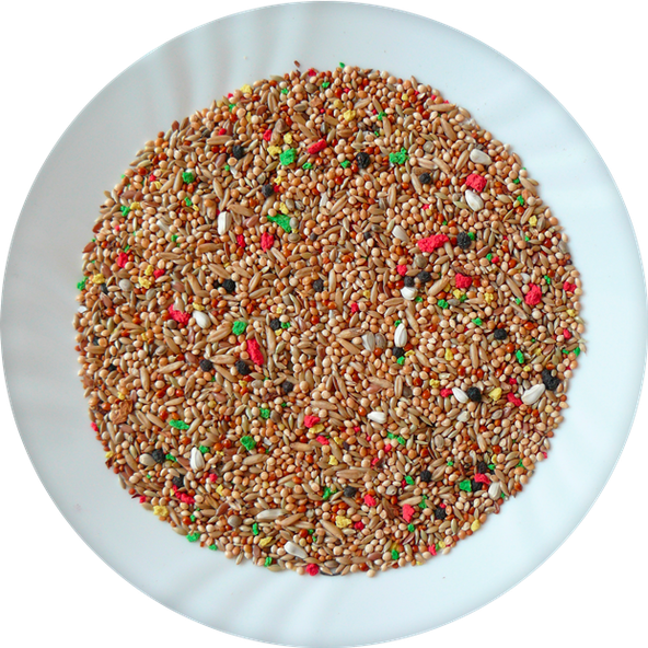 AVICENTRA Andulka Deluxe krmivo pre andulky 500g