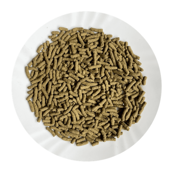 AVICENTRA COMPLETE+ krmivo pre morčatá 700g