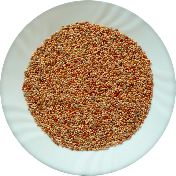 AVICENTRA Classic Menu Andulka krmivo pre andulky 20kg