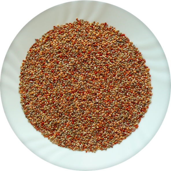 AVICENTRA Classic Menu Drobný Exot krmivo pre drobné exotické vtáctvo 500g