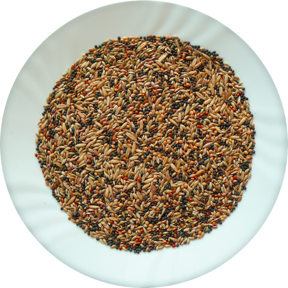 AVICENTRA Classic Menu Kanárik základné krmivo pre kanáriky 500g