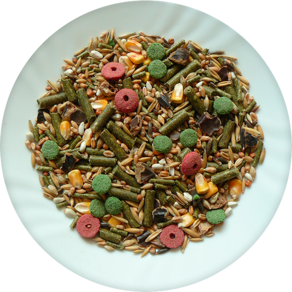 AVICENTRA Classic Menu Králik krmivo pre králiky 500g