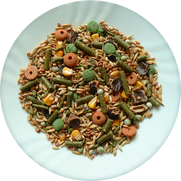 AVICENTRA Classic Menu Morča krmivo pre morčatá 20kg