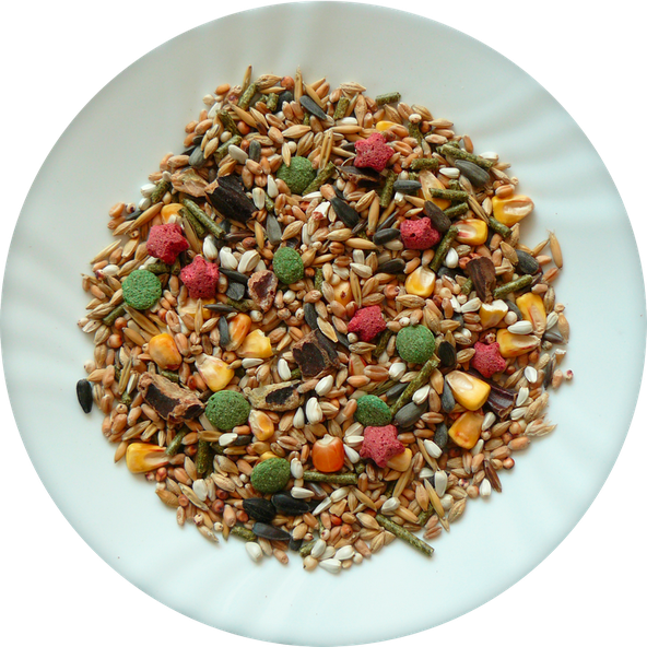 AVICENTRA Classic Menu krmivo pre škrečky, potkany a myši 20kg