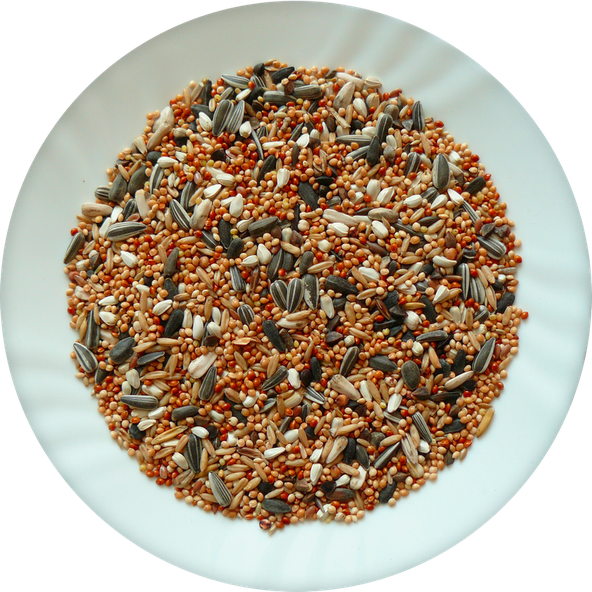 AVICENTRA Classic Menu krmivo pre malé papagáje 1kg