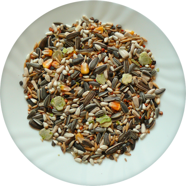 AVICENTRA Classic Menu krmivo pre veľké papagáje 15kg