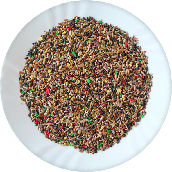 AVICENTRA Kanárik Deluxe krmivo pre kanáriky 500g