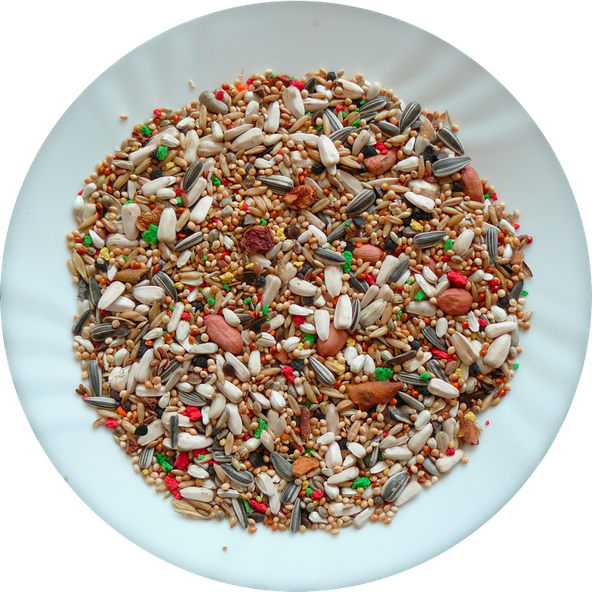 AVICENTRA Malý papagáj Deluxe krmivo pre korely, rozely a agapornisy 20kg