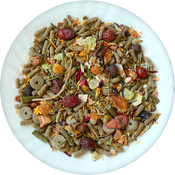 AVICENTRA Morča NATURE krmivo pre morčatá 850g