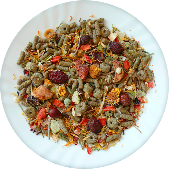 AVICENTRA NATURE krmivo pre činčily a osmáky degu 850g