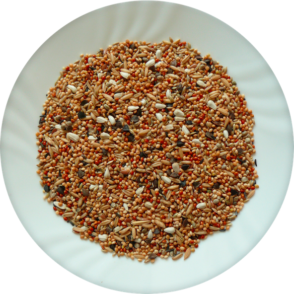 AVICENTRA Professional AGAPORNIS krmivo pre agapornisy 20kg