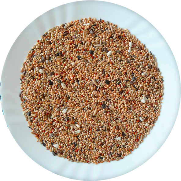 AVICENTRA Professional NEOFÉMA krmivo pre neofémy 20kg