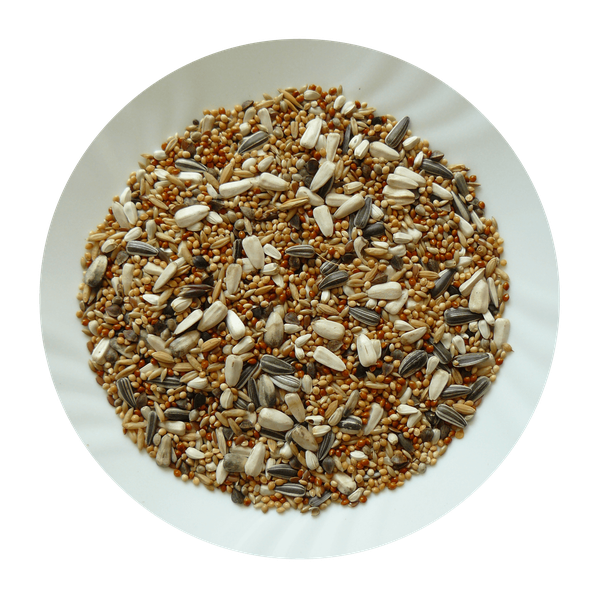 AVICENTRA Professional Stredný papagáj krmivo pre rozely, korely a agapornisy 20kg