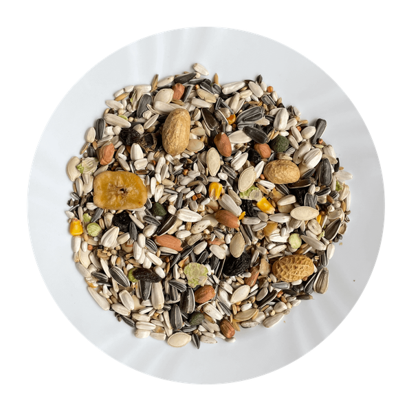 AVICENTRA Special krmivo pre veľké papagáje 1kg