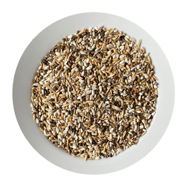 AVICENTRA nakličovacia zmes semien pre malé papagáje 20kg