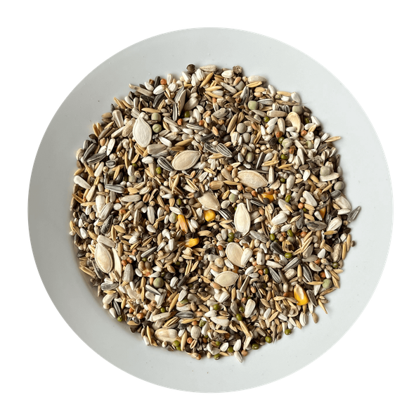 AVICENTRA nakličovacia zmes semien pre veľké papagáje 15kg