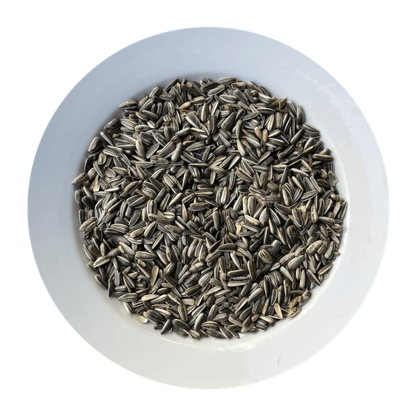 AVICENTRA slnečnica pasíkavá 1kg