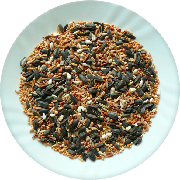 AVICENTRA zimná zmes do kŕmitiek 1kg