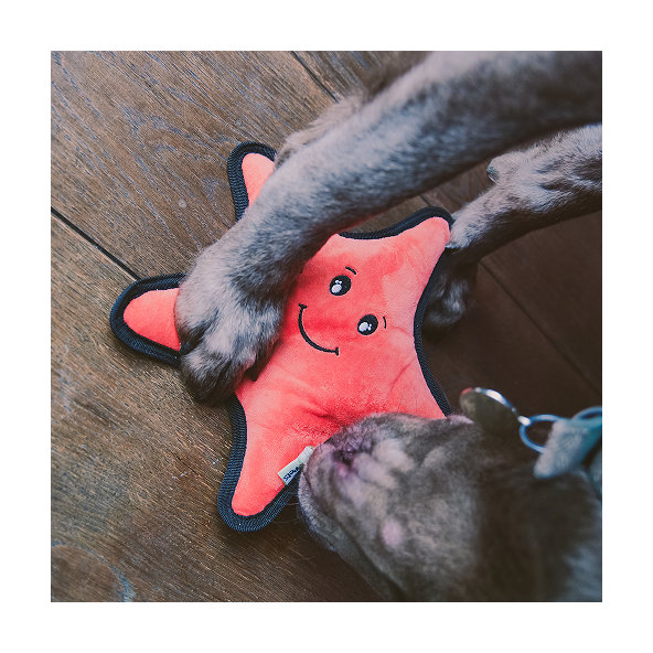 Beco Rough and Tough - Hviezdica Sindy odolná hračka pre psy M 1 ks