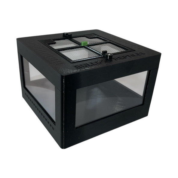 Terárium pre pavúky a hmyz CUBE čierna 150x150x100 mm