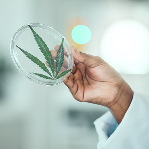 Cannaderm Venosil konopný sprej na unavené nohy 150ml