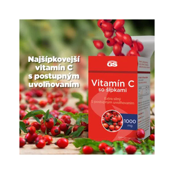 GS Vitamín C 1000 so šípkami  100 + 20 tabliet