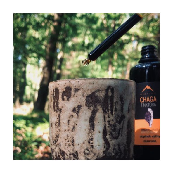 Hrotlife Chaga tinktúra 100ml