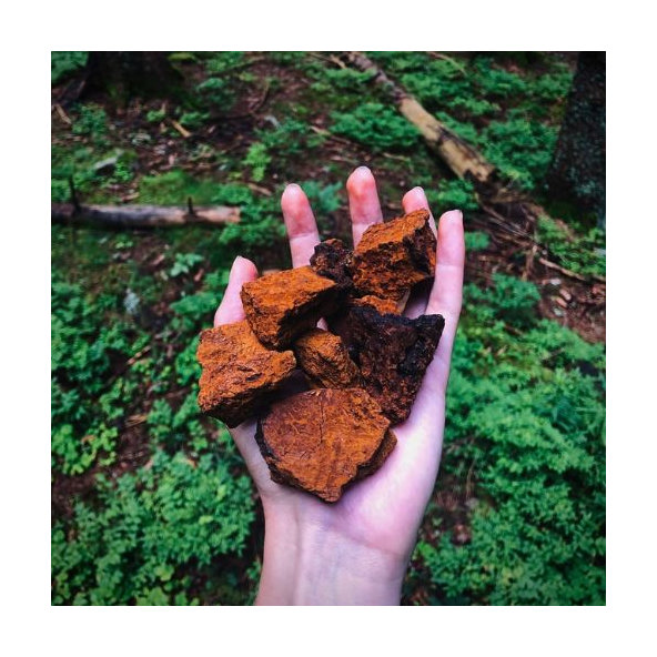 Hrotlife Chaga tinktúra 100ml