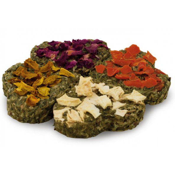 JR FARM Štastný štvorlístok maškrta pre králiky a hlodavce 60 g