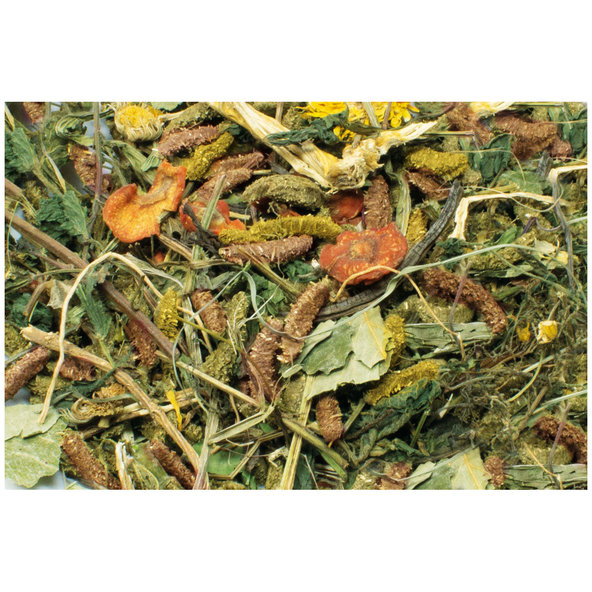 JR FARM Grainless HEALT MIX kompletné krmivo pre zakrslé králiky 600g