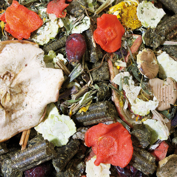 JR FARM Grainless Mix krmivo pre činčily a osmáky degu 650g