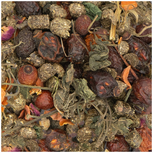 JR FARM SPECIAL špeciálne krmivo pre činčily 500g