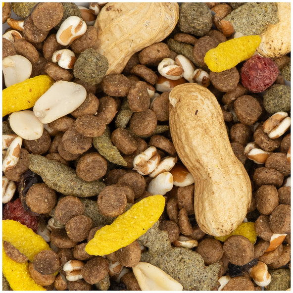 JR FARM Snack maškrta pre škrečky 100g