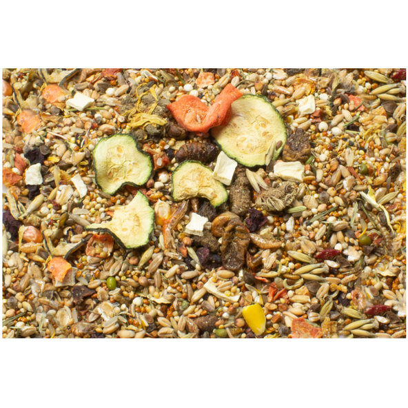 JR FARM food kompletné krmivo pre pieskomilov 500g