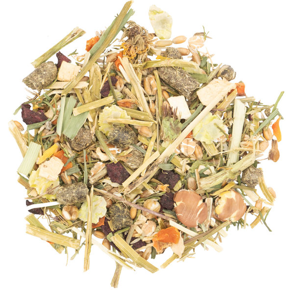 JR FARM kompletné krmivo pre degu 800g